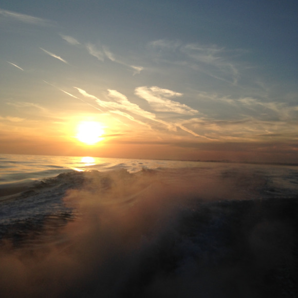 lagunagal_1